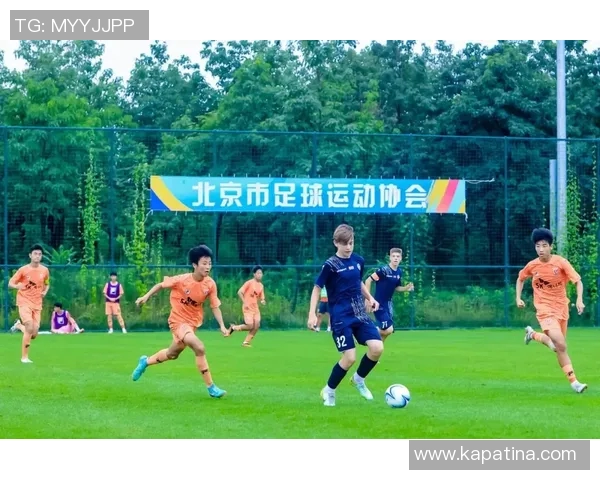 西瓜足球明星崛起之路:从街头少年到世界舞台的闪耀之星 西瓜足球明星崛起之路:从街头少年到世界舞台的闪耀之星